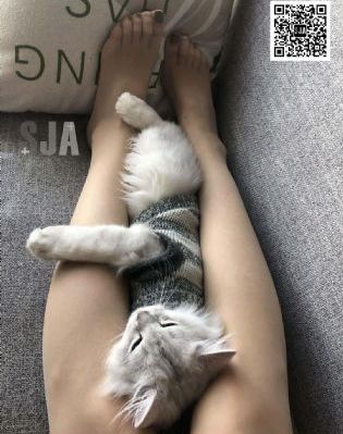 泡剧网免费追剧大全_BD英语高清完整版播放