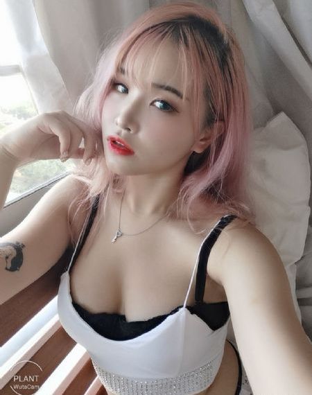 光头强动画片全集免费观看_在线观看