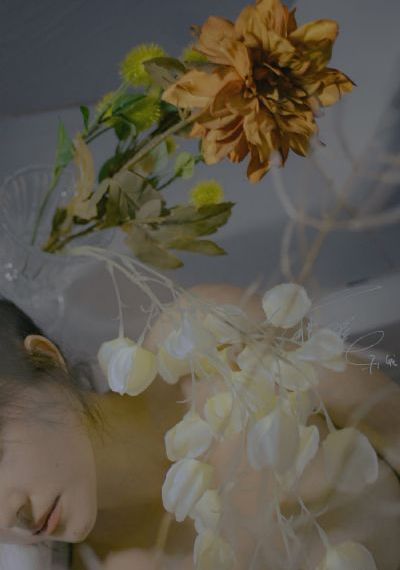 年轻母亲五_1080免费电视剧