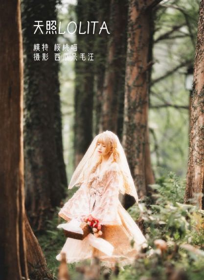 森林中的熊先生冬眠中动漫未增减_4399看片BD国语版完整版